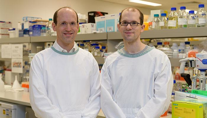 Scientist brothers may have discovered a treatment for Alzheimer&#39;s - Voice  of The North